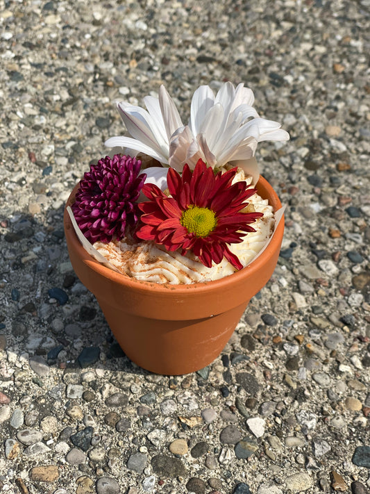 Flower Pot Cakes